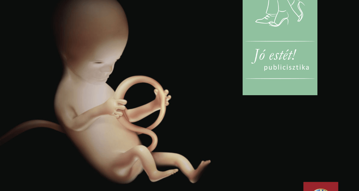 Jó estét! – Senki sem született úgy, hogy tudott már autót vezetni