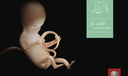 Jó estét! – Senki sem született úgy, hogy tudott már autót vezetni
