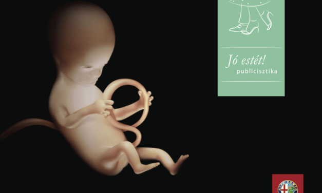 Jó estét! – Senki sem született úgy, hogy tudott már autót vezetni