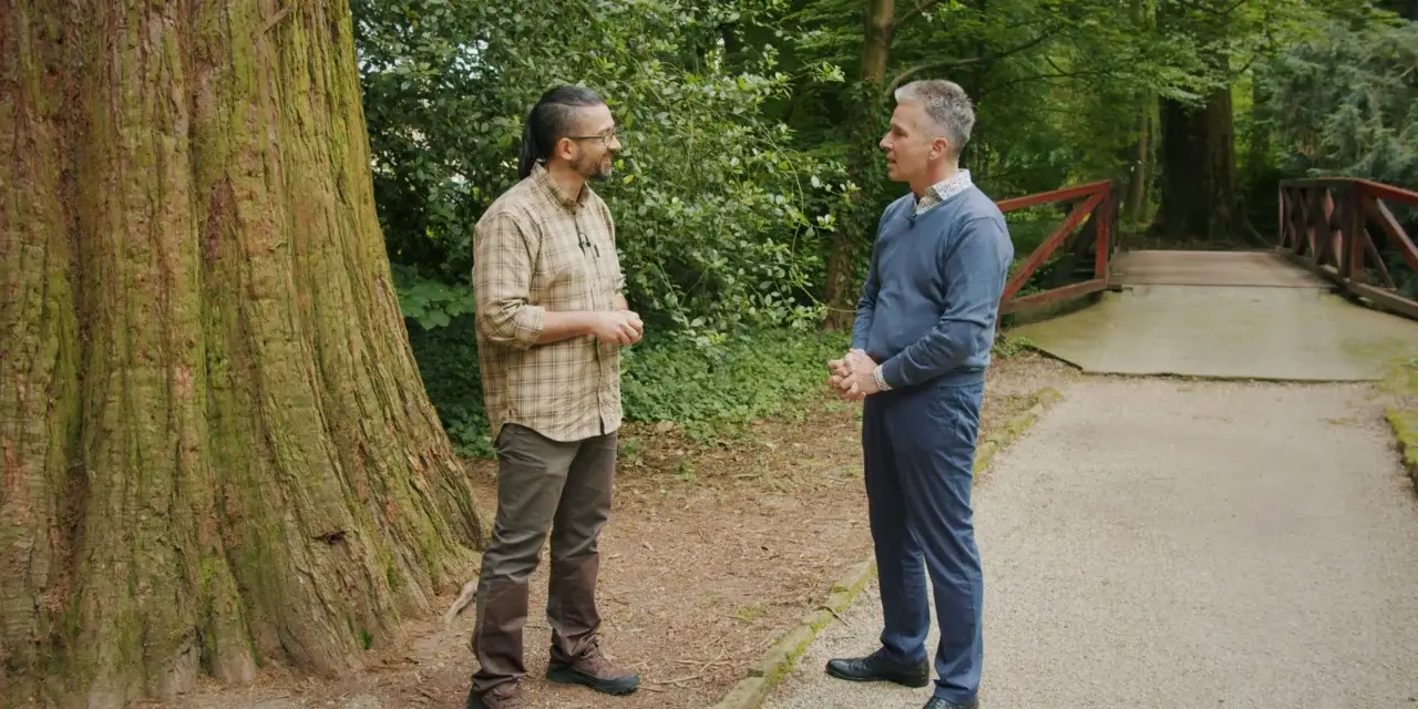 Erdőmánia: Látod a fát, érzed az erdőt