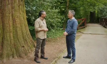Erdőmánia: Látod a fát, érzed az erdőt
