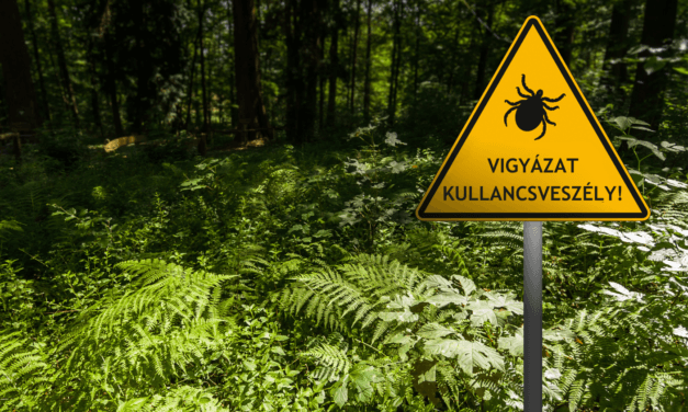 Vigyázat, kullancsveszély! Használjunk több megelőző eszközt egyszerre